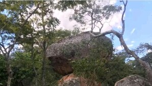 A natural landscape with large rocks, trees, and various plants. - Cheltenham Park Resort  (Harare)