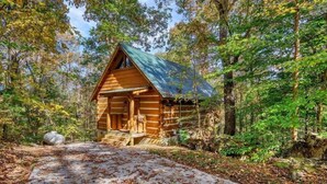 Eine Blockhütte mit Metalldach, umgeben von Bäumen und einem von Laub bedeckten Pfad.