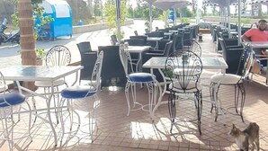 Immagine non classificata, 5 di 41, pulsante