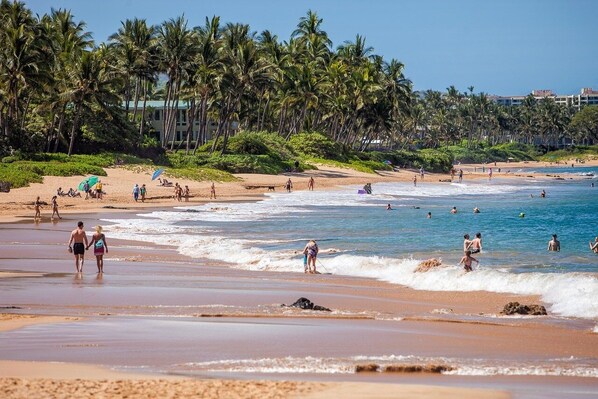 Una playa con palmeras, gente caminando y nadando, y edificios al fondo.