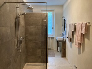 Shower, hair dryer, bidet, towels