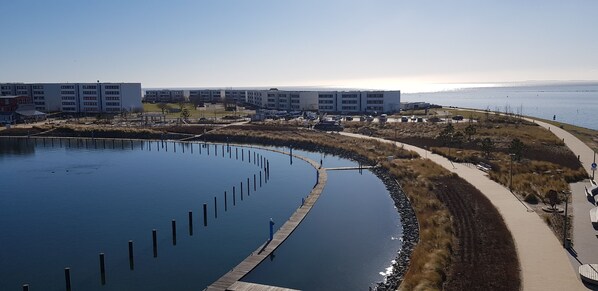 A waterfront property with a curved dock, a walking path, and a building complex in the background.