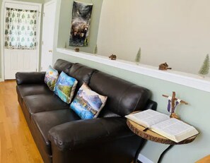 Smart TV, fireplace, DVD player, books