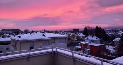 Adventure or culture vacation - spacious apartment in the heart of Klagenfurt