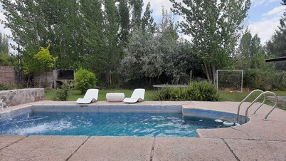 PAZ Y Vino