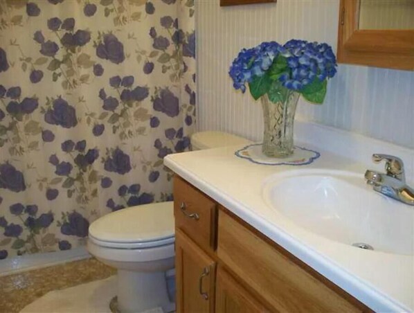 Hair dryer, towels, soap, toilet paper
