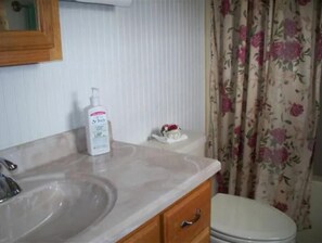 Hair dryer, towels, soap, toilet paper