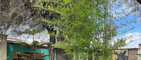 Façade de lâhĂ©bergement