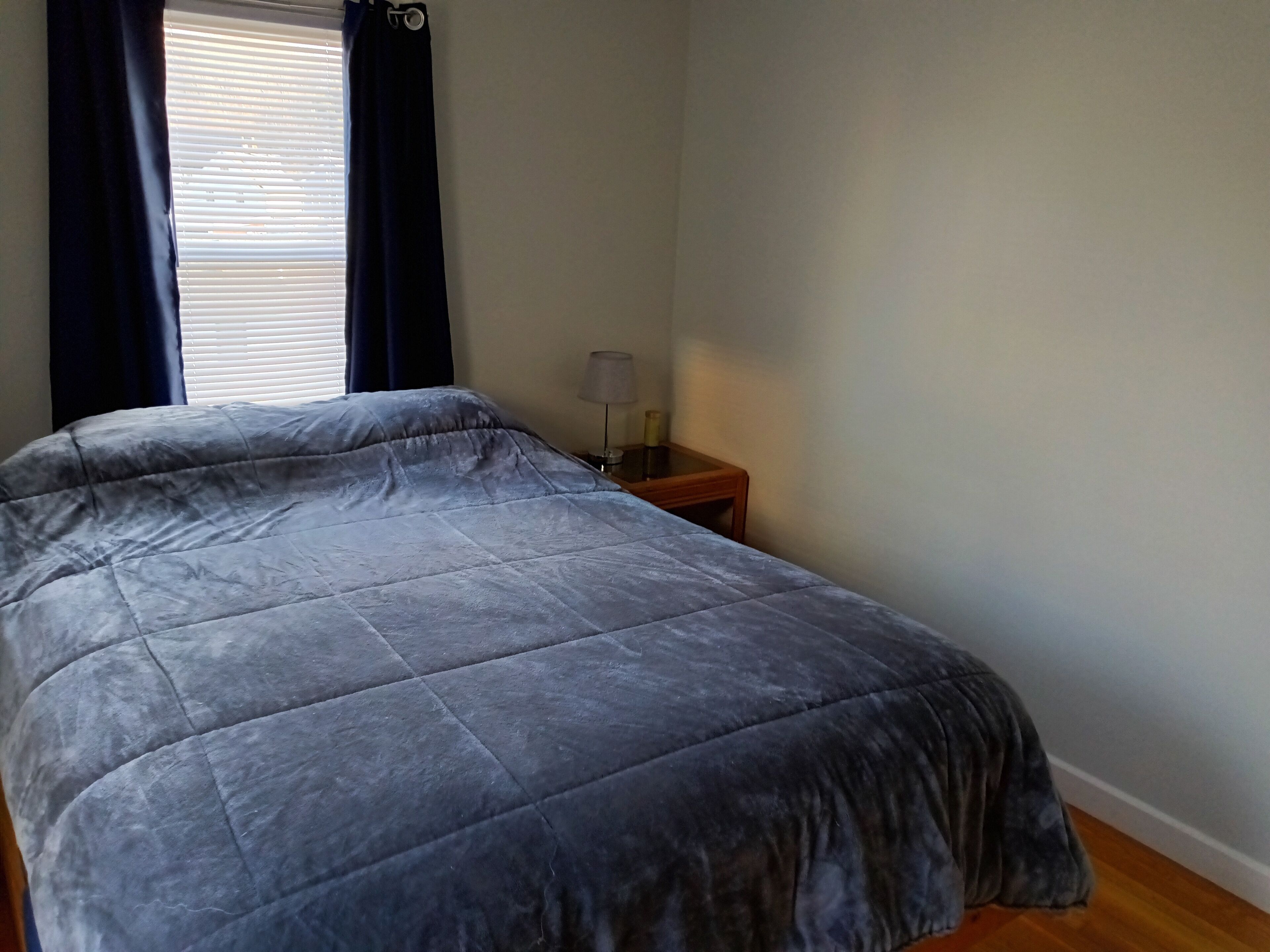 Cozy 2 bedroom between the beach and downtown 