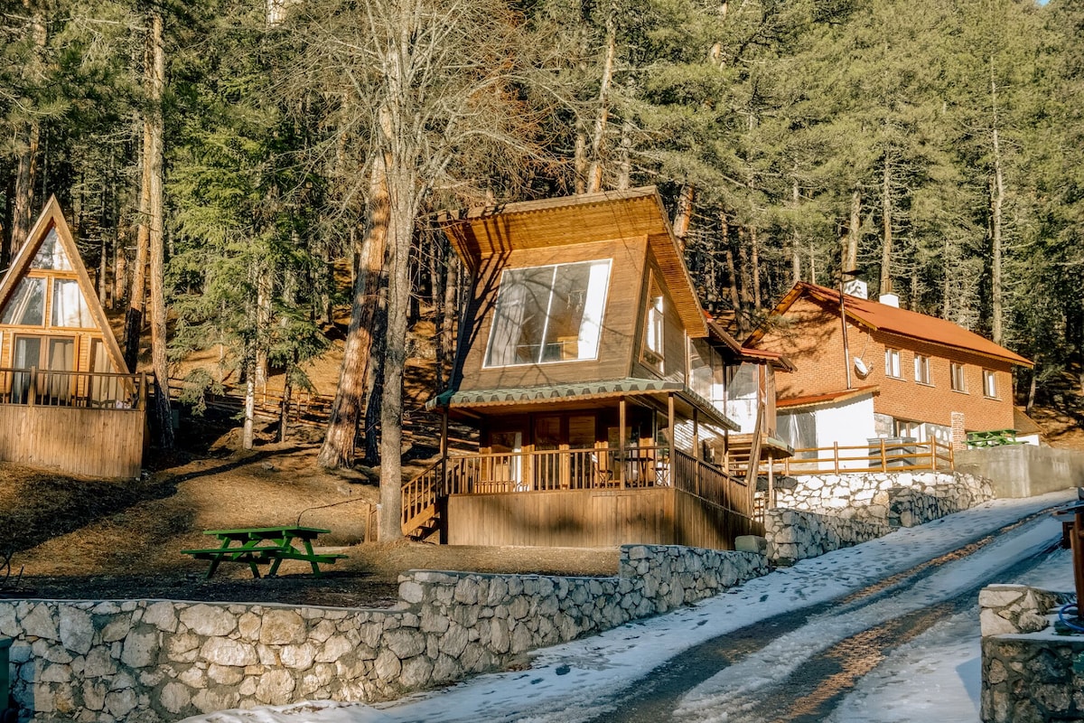 A cabin with a stone wall and a wooden deck, surrounded by trees.