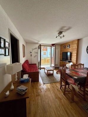 Televisor, reproductor de DVD i llibres