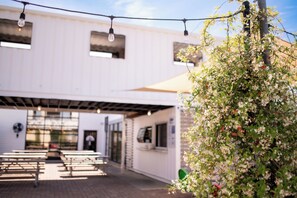 Terrace/patio - Bungalow 20 min to beach, restaurants, cafe's - pet-friendly + Bikes to Ride (Wilmington)