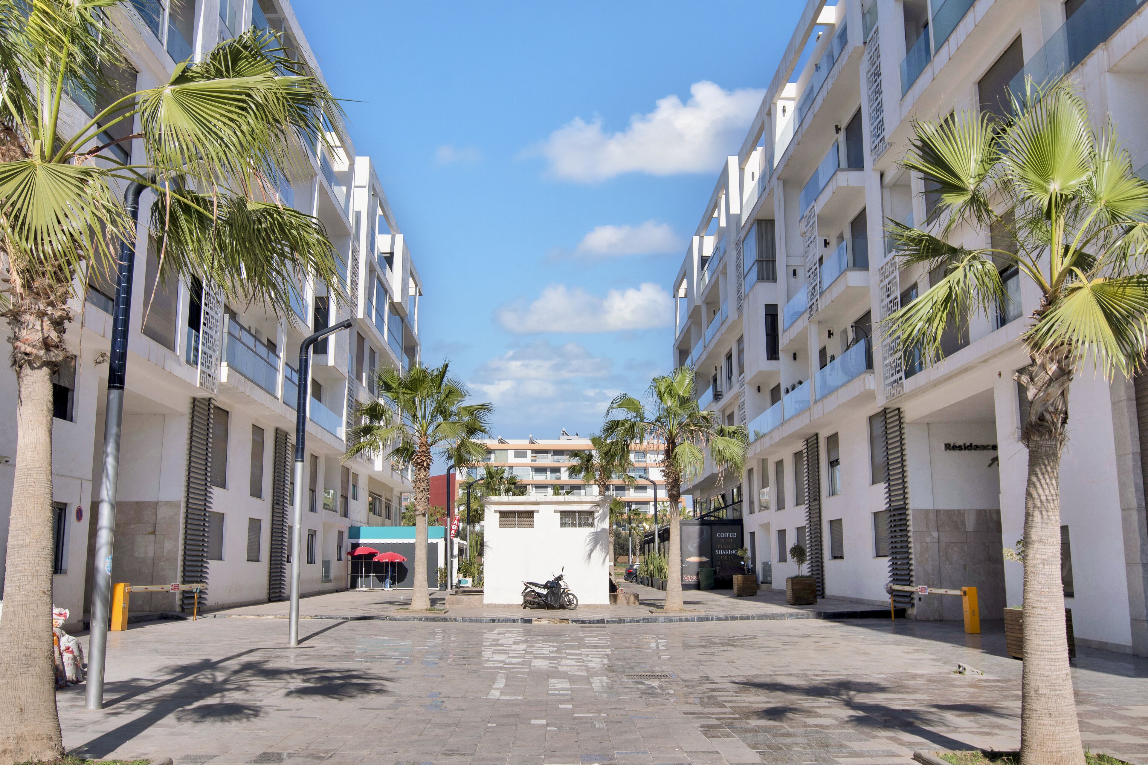 A modern urban street with multi-story buildings, palm trees, and a clear sky.