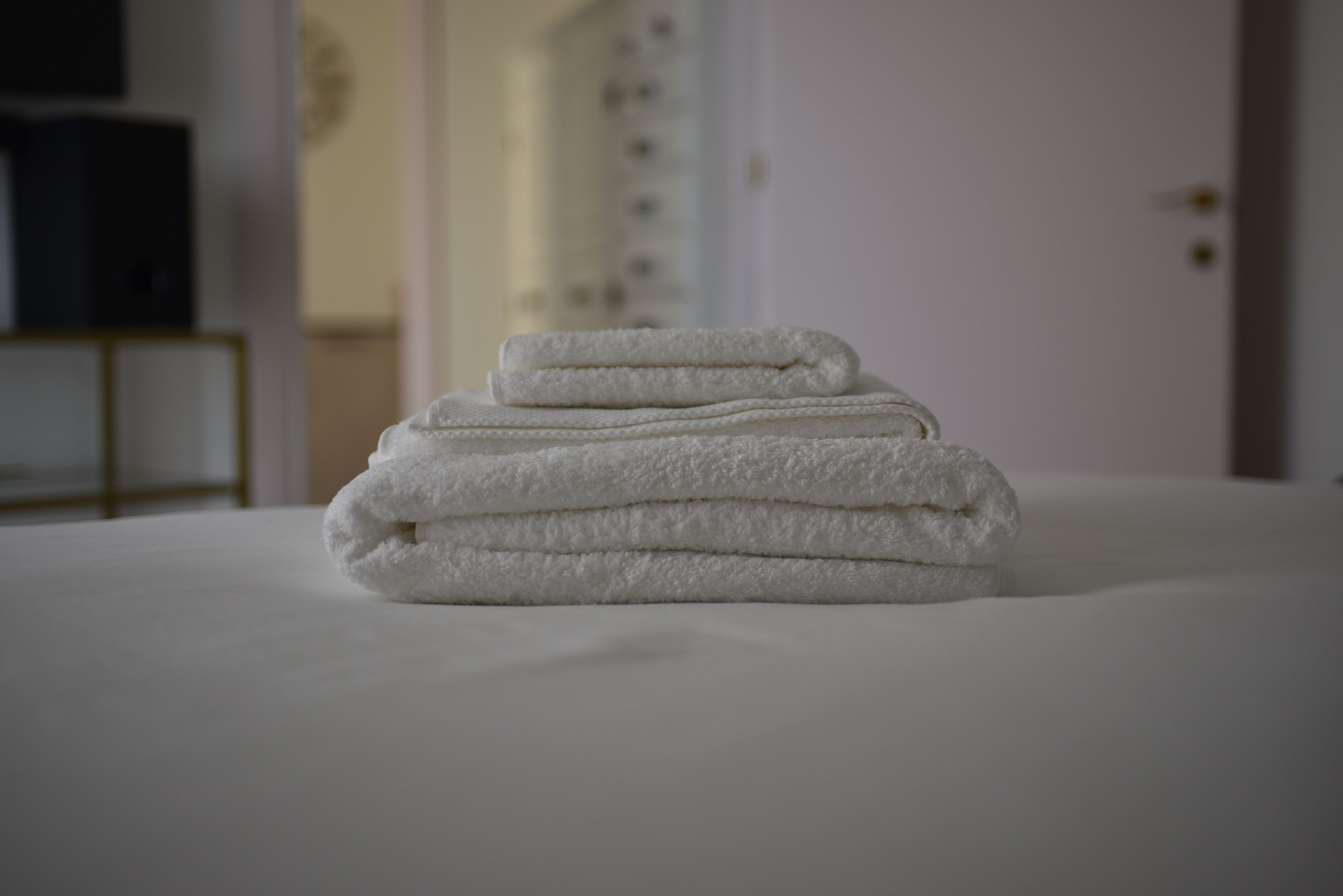 Exclusive Apartment | Bathroom | Shower, rainfall showerhead, free toiletries, hair dryer