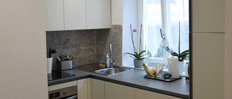 Fridge, oven, stovetop, dishwasher