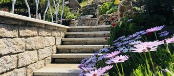 Villa with panoramic pool surrounded by greenery