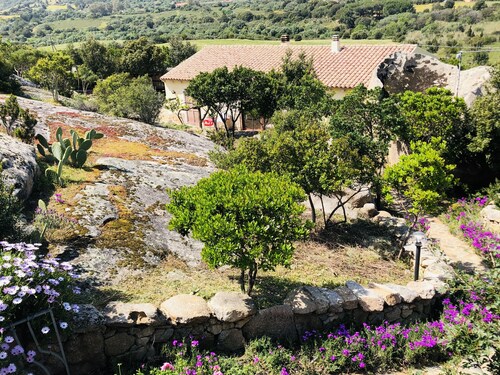 Villa with panoramic pool surrounded by greenery