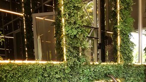 A staircase with metallic steps and greenery.