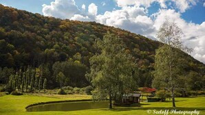 A serene landscape with a pond, a small building, and a hill with trees.