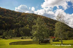 Property grounds - Family & Friends Retreat w/HotTub, Amazing Views, 5 big bedrooms & 14 acres (Ellicottville)