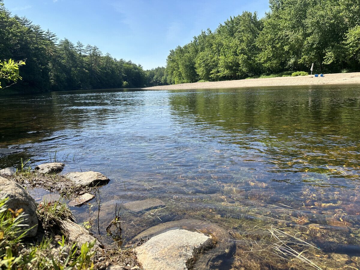 Ein Fluss mit klarem Wasser, umgeben von Bäumen und Felsen.