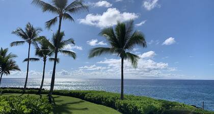Oceanfront with AMAZING Views and AC! 2 Bedroom, 2 Bath Corner Unit KKSRC #3104