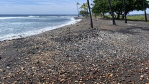 Uma praia com pedras, palmeiras e ondas do oceano.