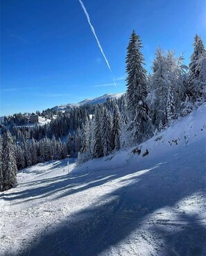 رياضات التزحلق على الجليد والماء