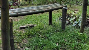 A wooden bench in a garden with bamboo poles, surrounded by greenery and a red flower.