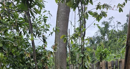 Ecoscape Tulia - Private Nature Escape - 1 Bedroom, 30 minutes to Ocho Rios