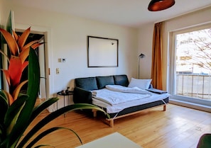 1 chambre, bureau, fer et planche à repasser, lit parapluie