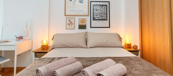 Apartamentos Coruña vip centro