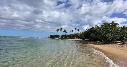 Lovely Dorado Beach Villa With King Size Bed