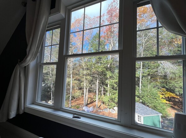 A window with a view of a forested area and a small building.