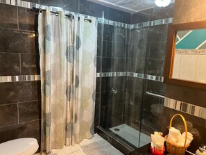 Douche, baignoire à jets, serviettes fournies, savon