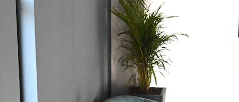 A corner seating area with two light blue chairs and a small black table, accompanied by a potted plant.