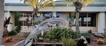 Stay and kayak with dolphins manatees