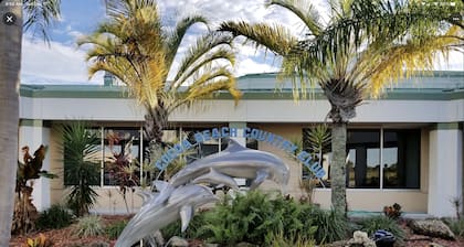 Stay and kayak with dolphins manatees
