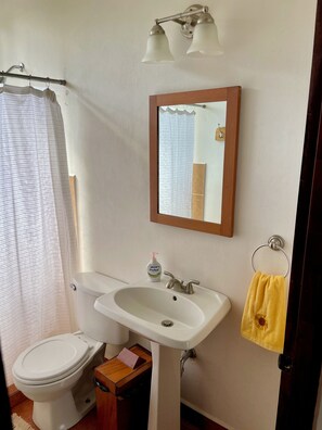 Une salle de bain avec des toilettes, un lavabo et un miroir.