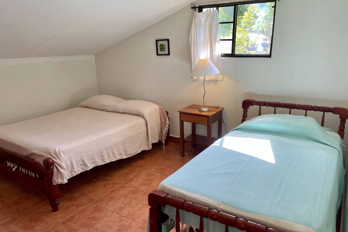 Une chambre avec deux lits simples, une table de chevet avec une lampe, une fenêtre avec des rideaux et un tableau encadré au mur.