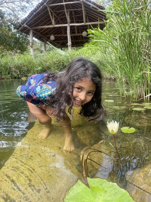 Piscina a l'aire lliure 