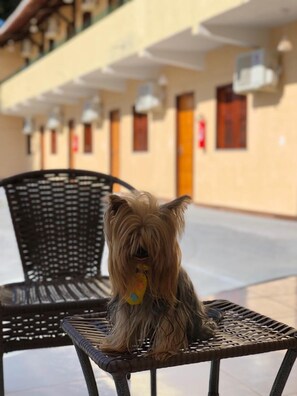Reception - HOTEL PINTO MARTINS (Camocim)