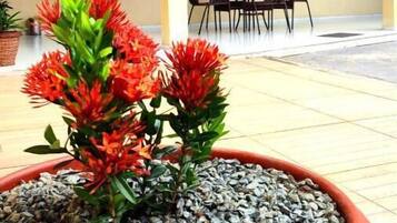 Comfort Room, 1 Bedroom, Ensuite, Executive Level | Terrace/patio