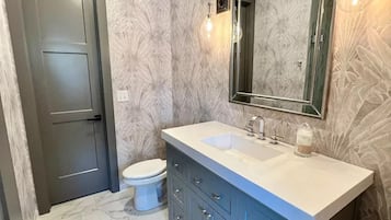 Hair dryer, towels, soap, toilet paper
