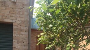 A brick building with a green shutter door, a wooden door, and a pathway leading to a door. - Burradoo Loft with king size bed. 
Close to Southern Highlands wineries. (Burradoo)