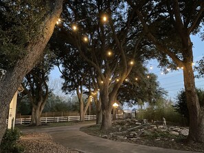 Property grounds - TLC Mini-mansion , KATY TEXAS (Katy)