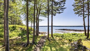 A forested area with a clear view of a lake.