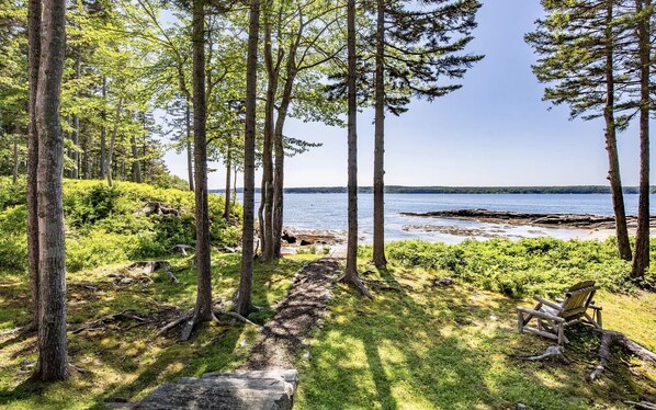 A forested area with a clear view of a lake. - Oceanfront Private Beach on Southport with Home Completely Remodeled in 2026 (Southport)