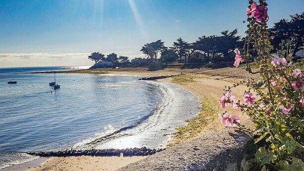 在海灘附近