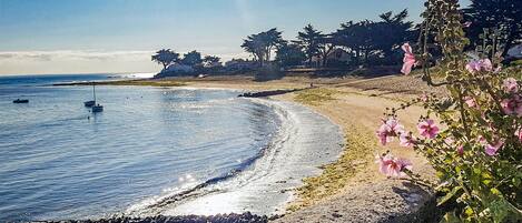 Playa en los alrededores
